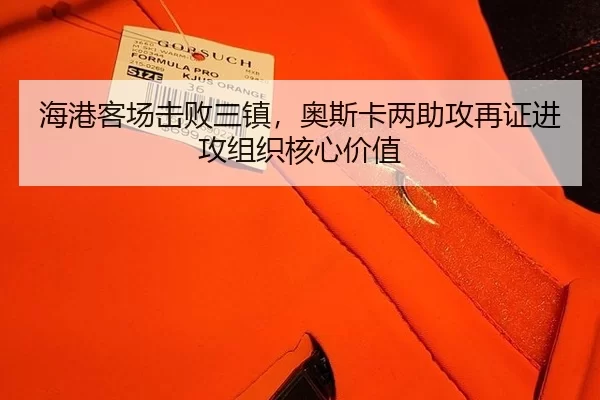hai-gang-ke-chang-ji-bai-san-zhen-ao-si-ka-liang-zhu-gong-zai-zheng-jin-gong-zu-zhi-he-xin-jia-zhi-3-302.jpg